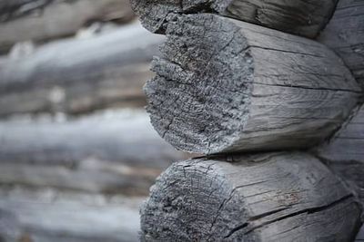 Bois Dussault -  Découpe de bois exotique à Bordeaux en Gironde